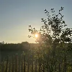 Venkovský dům Au Sentier De Verlaine - Tiny House A - 4 Pers - Ardenne *