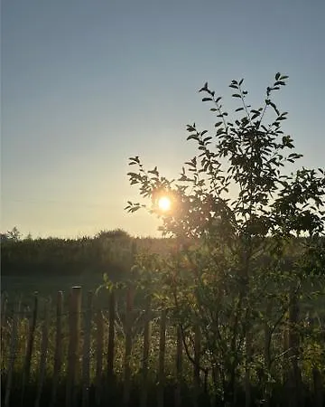 Casa di campagna Au Sentier De Verlaine - Tiny House à - Ardenne *